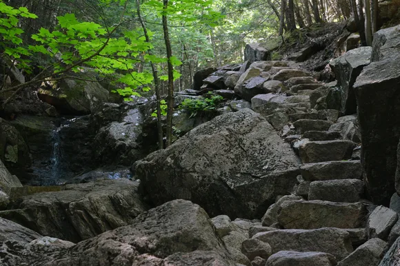 Rock steps pass a small cascade in a forest