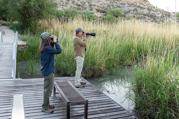 Birdwatchers use a camera and binoculars to look for birds along the RGV Nature Trail.