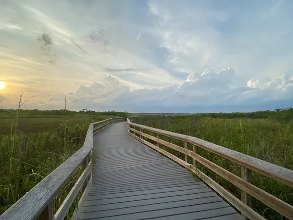 An angular boadwalk bends through a green sawgrass prarie. The sun rises in the background