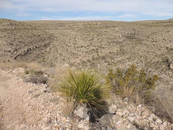 Photo Rattlesnake Canyon with sotol desert plant in the foreground.